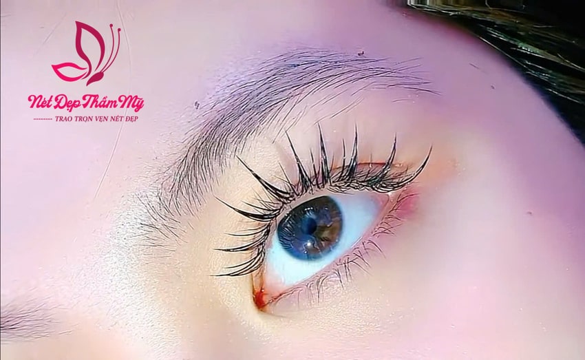 bảng giá mi mắt ướt