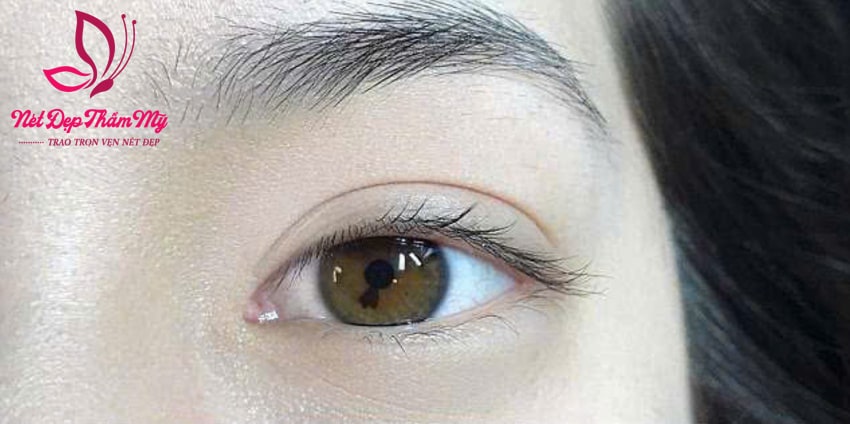 cắt ngắn lông mi