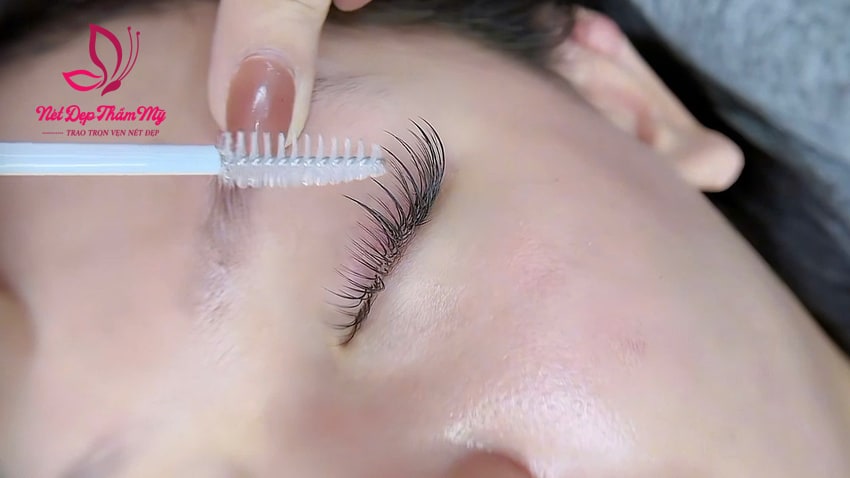 dạy nối mi mắt mèo
