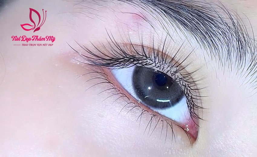 dạy nối mi thiên thần