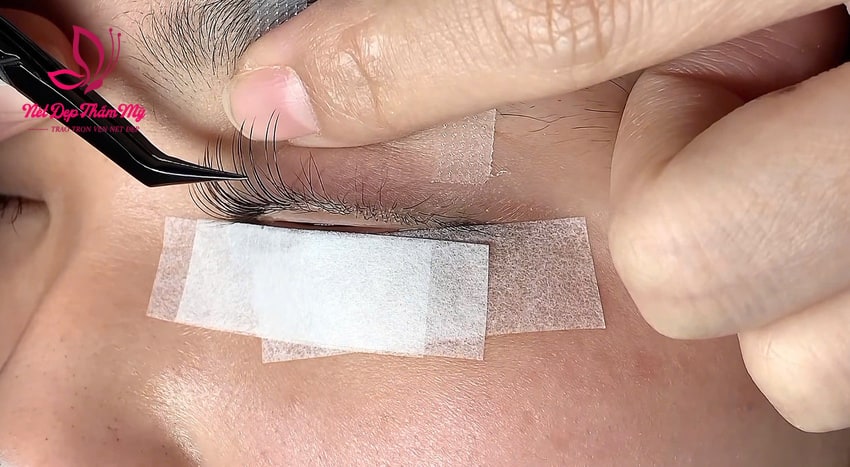 lợi ích của nối mi