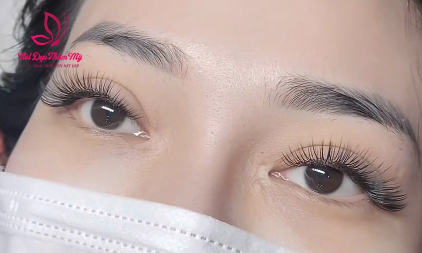 mẫu mi mắt mèo