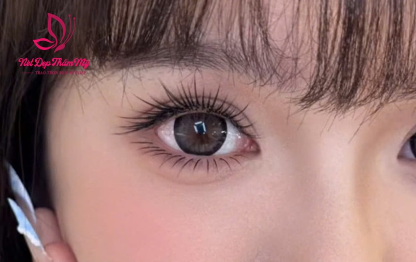 mẫu mi thiên thần