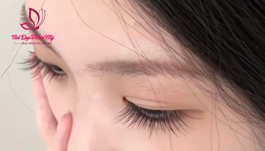 mẫu mi tự nhiên đẹp