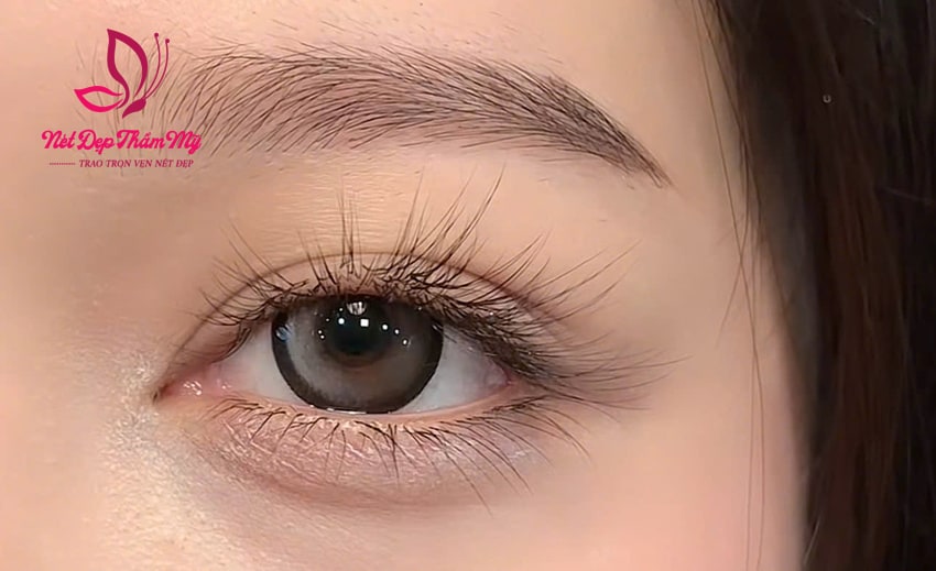 mẫu nối mi thiên thần