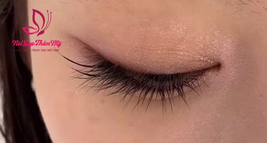 mi đuôi cá thiết kế
