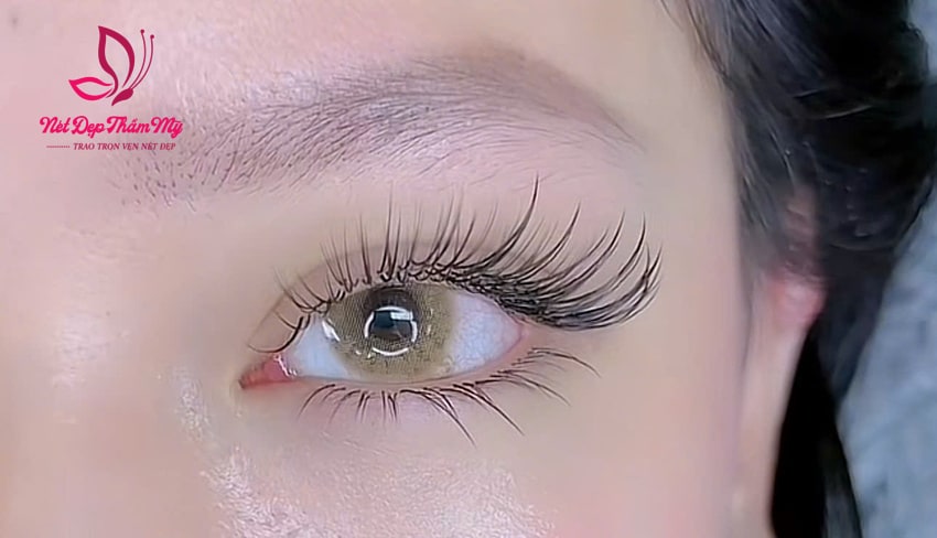 mi mắt mèo đẹp