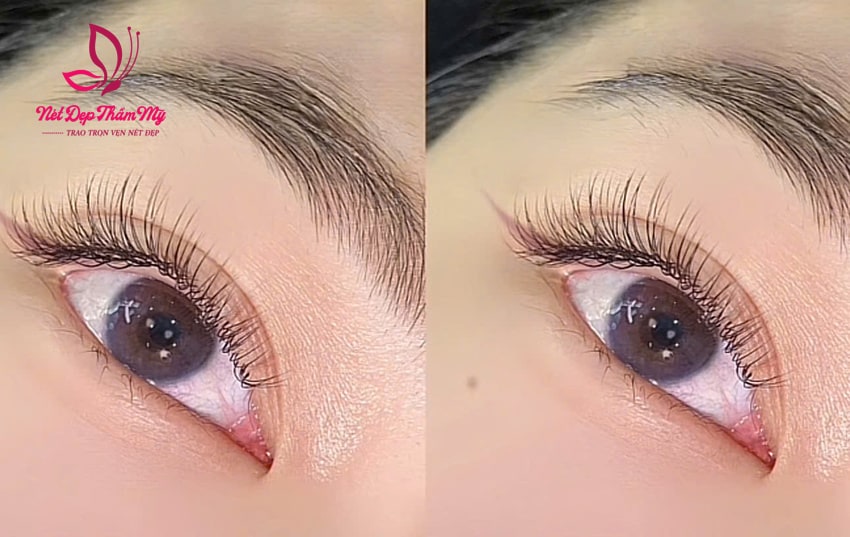 nối mi kiêng nước bao lâu