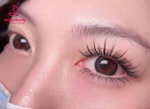 nối mi lông chồn