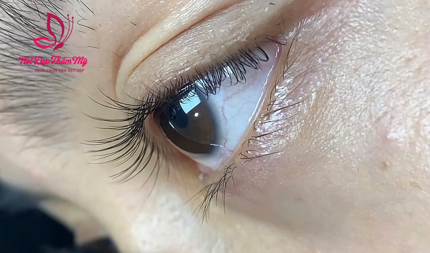 nối mi tự nhiên