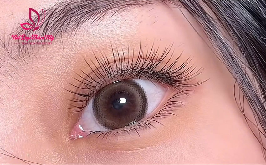 nối mi tự nhiên hàn quốc đẹp