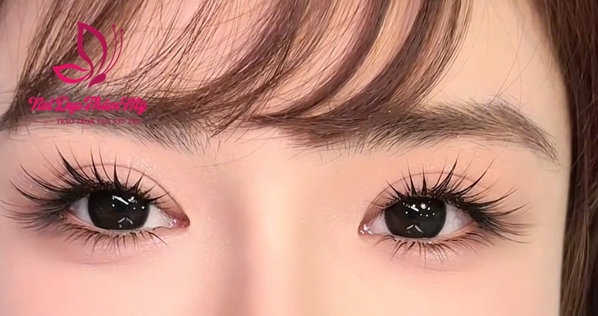 nối mi ướt