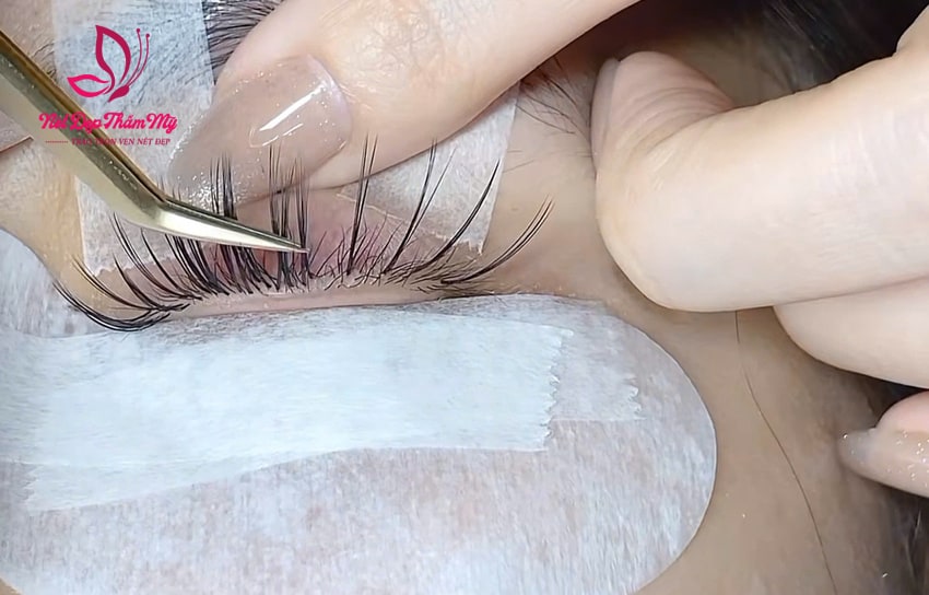 nối mi tại nhà quận 2