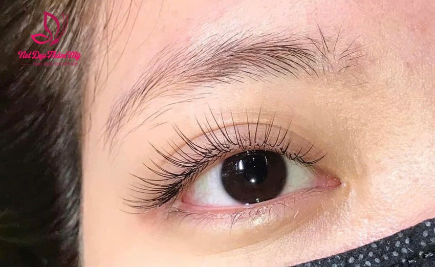 nối mi tại nhà quận 3
