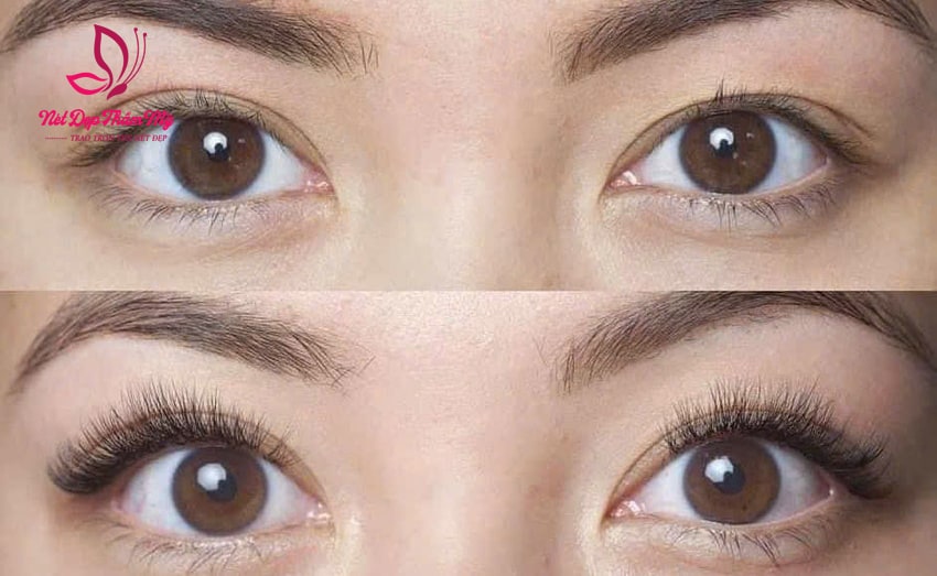 nối mi tận nhà quận 3