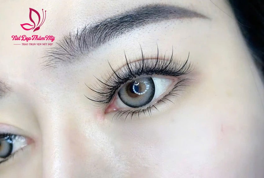 nối mi tại nhà quận phú nhuận