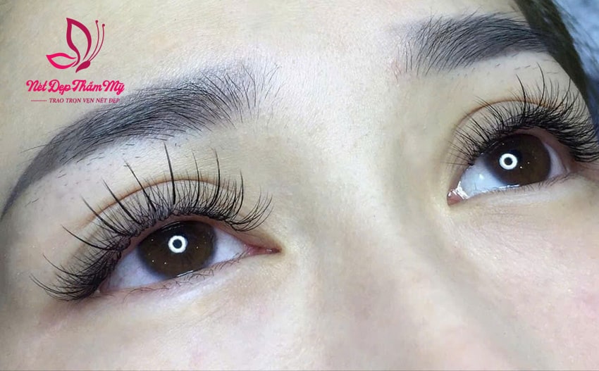 nối mi thủ đức