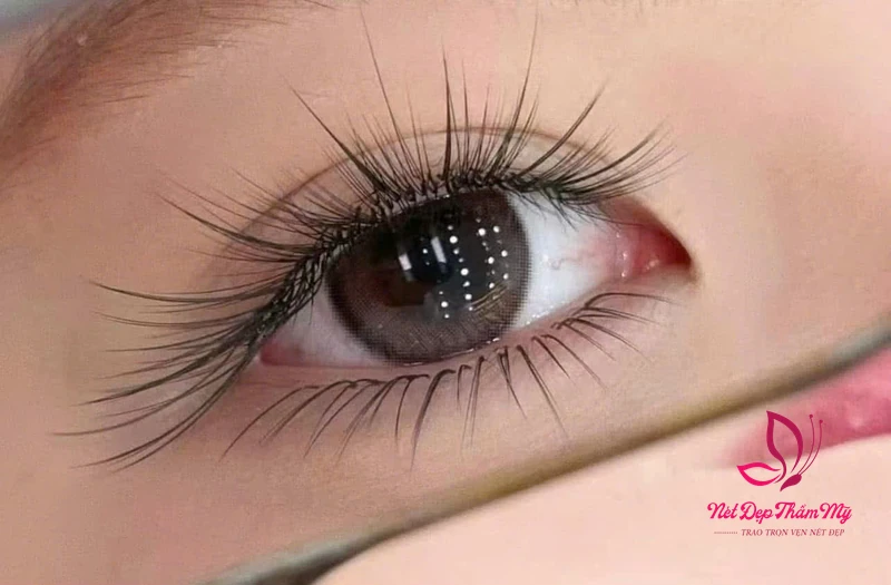 Nối mi Quận 1 hình ảnh minh họa chuyên sâu 3